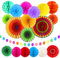 Dadabig 20 Stück Papier Fans Fächer, Regenbogen Hängende Papierfächer Dekoration Set Bunte Seidenpapier Pompons Wabenbälle Dekorpapier Kit für Hochzeit, Karneval, Feier und Party