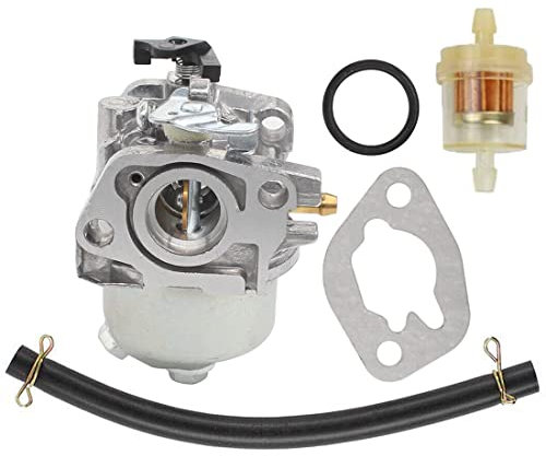 Carburetor Carb for Mountfield Champion SV150 RV150 M150 RM45 V40 V35 Petrol Lawnmower