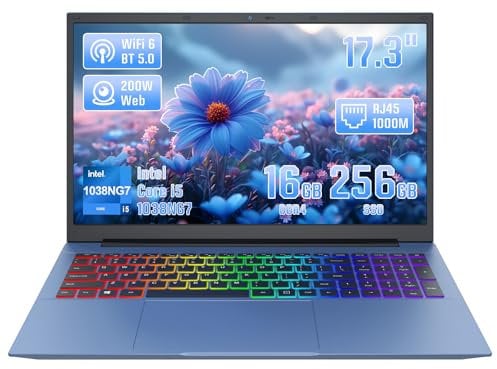 LONGEVINCE 17.3-Inch Large-Screen High-Performance Laptop, Core i5-1038NG7, 16GB DDR4, IPS FHD Display, Fingerprint Unlock, Wi-Fi 6, Bluetooth 5.0, Windows 11 Pro& Office 2019 (16+256G)