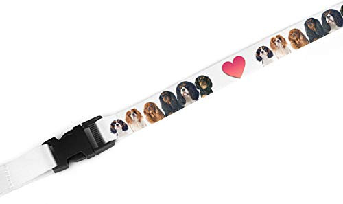 Merchandise for Fans Lanyard Schlüsselanhänger Schlüsselband mit Sicherheitsverschluß und Karabiner/Hund Cavalier King Charles Spaniel 02
