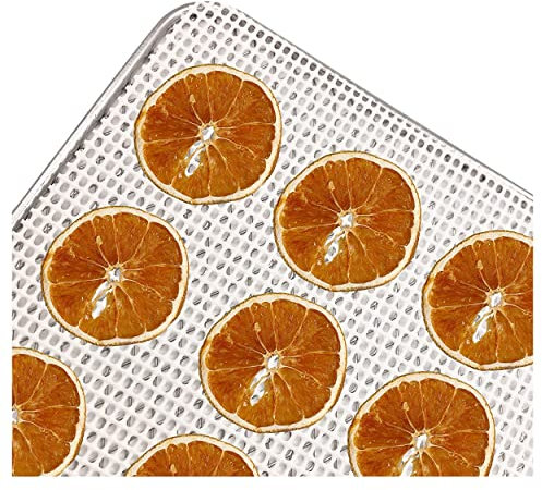 Nebula Silicone Food Dehydrator Sheets | Kitchen Non-Stick Square Silicone Mats Edge Dehydrator Food Dryer UK Food Tray Silicone Mat | Fruit, Veg, Meat, Mushroom, Herb, Seed, Beef Jerky | Pack of 6