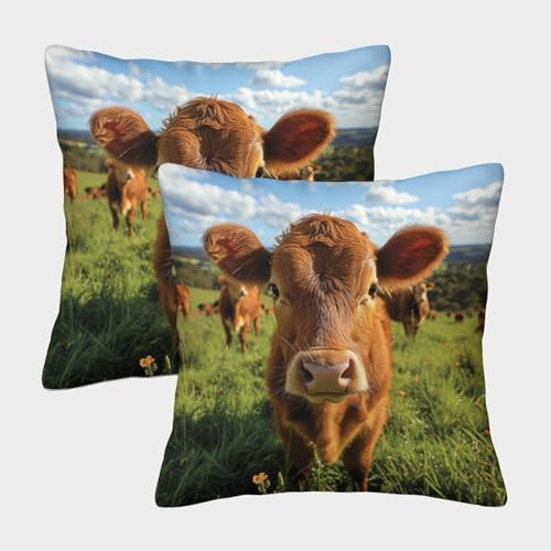 RHUSDIEOD Süße kleine Kuh Kissenbezüge Tier Outdoor Kissen 2er Set Kopfkissenbezug Mit Reißverschluss Deko Für Sofa Schlafzimmer Wohnzimmer 45x45cm