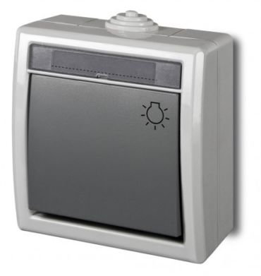 IP44 IP55 Aufputz Schalter -Steckdosenprogramm Feuchtraum Schuko HERMES AQUANT (IP 55 Taster Licht 1204-10)