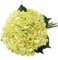 Tifuly Artificial Hydrangea Flower, 5 PCS Ramos de hortensias de Seda de Tallo Largo para Bodas, hogar, Hotel, decoración de Fiestas, centros de Mesa (Verde)