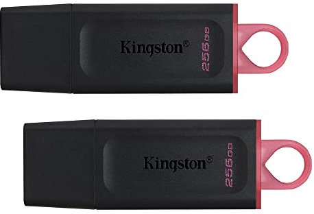 Kingston DataTraveler Exodia 256GB USB 3.2 Flash Drive DTX/256GB - 2 Pack