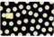 CREATCABIN April Daisy Debitkarten-Skin,Kreditkarten-Aufkleber,Personalisierbar,Wasserdicht,Aufkleber Für Kartenhüllen,Schwarzer Schlüsselkarten-Skin-Aufkleber Für Transport,Kartendekoration,186x137mm