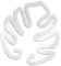 RETUOLWAG Monstera Ensemble de pinces pour plantes en acrylique transparent