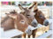 MyPuzzle DREI Esel auf dem Bauernhof - Premium 1000 Teile Puzzle - MyPuzzle Sonderkollektion von Puzzle Galaxy