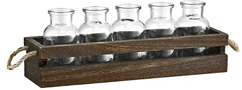 Graootoly Terrarium de propagation de plantes de bureau avec boîte en bois, vase de ferme en verre pour plantes