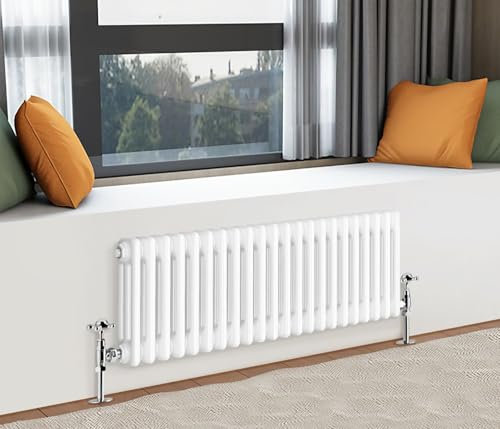 Traditional 2 3 Column Horizontal Vertical Radiator Cast Iron Style Vintage Rads (3 Column 300 x 1010mm, White)
