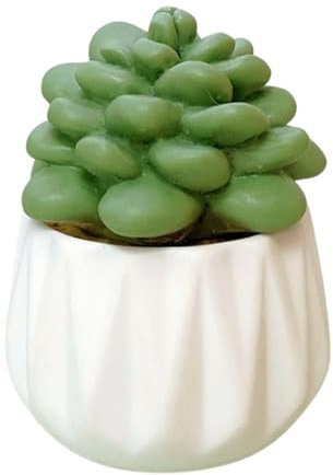 Xinsheinelry Small Green Cactus Figurine Résines
