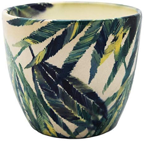 Ivyline Indoor Monza Botanical Fern Planter, Cream/Green, 15.5cm Diameter