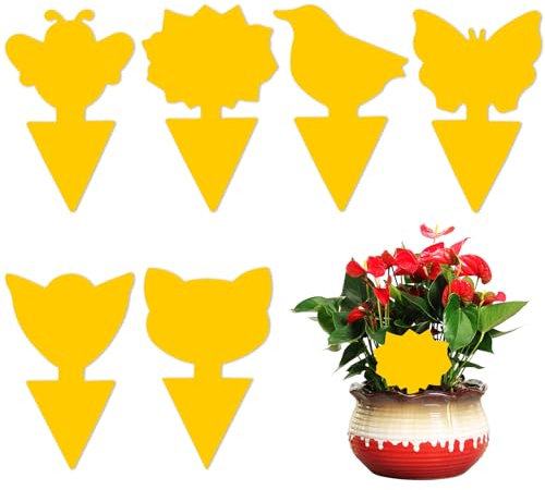 60 Pièces Anti Moucherons Interieur, Pièges à Insectes, Attrape Moucheron, Piege Moucherons Interieur pour la Protection des Plantes