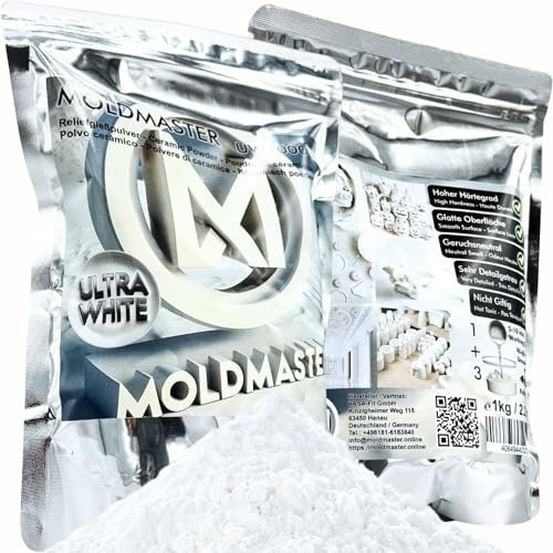 MoldMaster - Polvo de fundición en relieve, 1 kg, para relieves detallados, proyectos de arte y manualidades, secado rápido, no tóxico, uso versátil