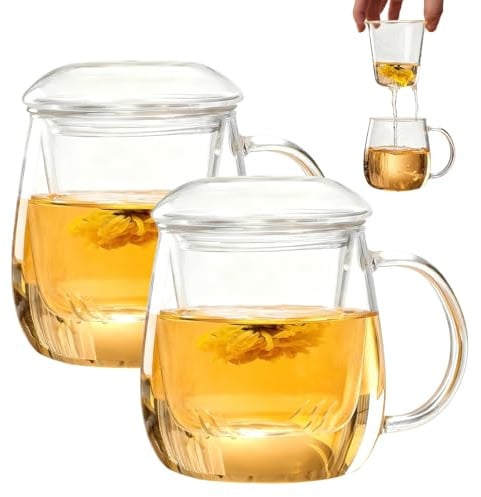 GBKDQQ 2 Stück Teetasse mit Deckel und Sieb, Teeglas all in one, 500ml Große Teetasse, Hitzebeständiges Borosilikat Teetassen, Leicht zu Reinigen für Zuhause und Büro
