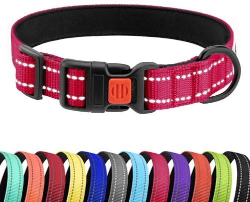 CollarDirect Reflektierendes Hundehalsband für kleinen, mittelgroßen, großen Hund, Welpen mit Schnellverschluss, Hündin, Rüde, 48 Sorten, Nylon Wasserfest