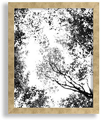 VO design Finn Premium Bilderrahmen Posterrahmen 61x91,5 cm Farbe Gold Antik Blattgold 91,5x61 cm mit weisser Rückwand und klarem Acrylglas