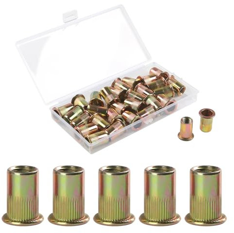 FOMGIIN 30 Pièces M10 écrous à Sertir, En Acier Au Carbone Galvanisé écrou Insert Riveter Manchon, Ronds Aveugles Insers Fileté Riveteuse, écrous à Rivets Flat Head Threaded Rivet Nuts
