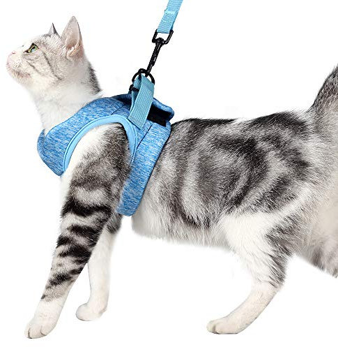 Poiinvc Ausbruchsicheres Katzengeschirr Set mit Katzenleinen, Haltbares Kitten Geschirr und Leine, Komfortabler Halsband-Geschirr-Kombination für Katzen und Kätzchen Blau L
