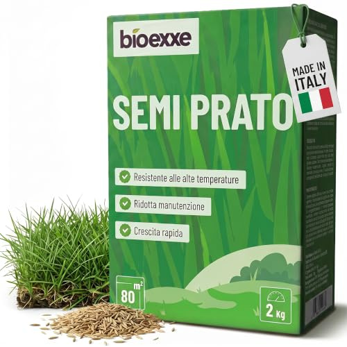 BIOEXXE Semi Prato Resistente Loietto Perenne 80 m² - Festuca Arundinacea Semi Erba Crescita Rapida Dicondra - Sementi per Prato Trifoglio Nano Dichondra Repens Erba da Seminare - Made in Italy