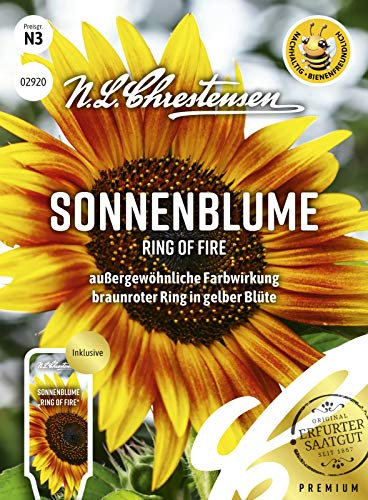 Sonnenblume Ring of Fire, außergewöhnliche Farbwirkung, bienenfreundlich, Samen
