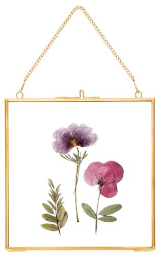 REDHUGO gepresste Blumenrahmen, schwebende Glasrahmen zur Präsentation von getrockneten Pflanzenspezimen, hängender Messing-Fotorahmen mit Kette, doppelt klares Glas, Vintage Wanddekoration, Quadrat