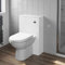 Artis 500mm Bathroom Toilet Back to Wall BTW Furniture Unit Pan Soft Close Seat White