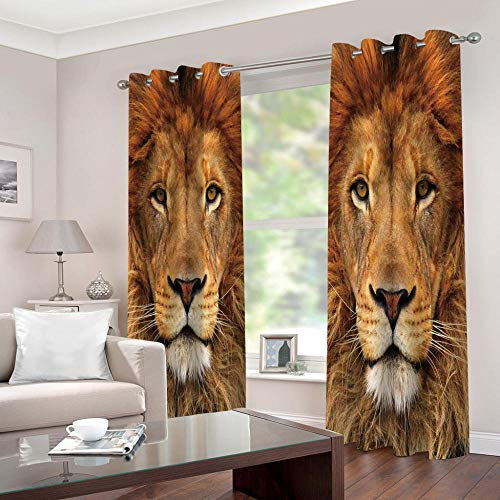 LWXBJX Vorhang Blickdicht für Schlafzimmer Wohnzimmer - Tierlöwe Afrika - 3D Druckmuster Öse Thermisch isoliert - 234 x 230 cm - 90% Blickdicht Vorhang für Kinder Jungen Mädchen Spielzimmer