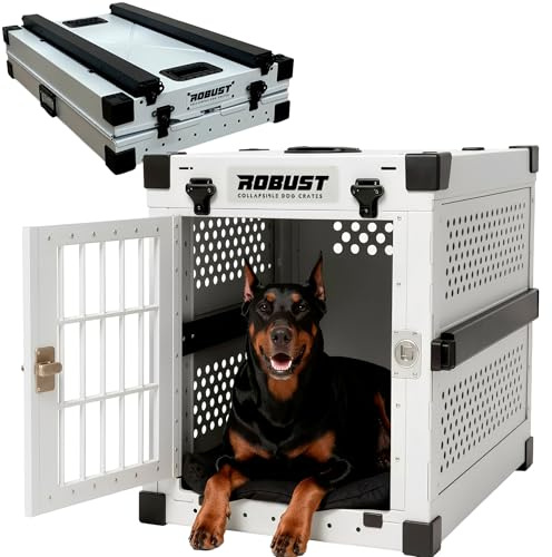 ROBUST Faltbare Hundebox aus Aluminium mit verstärkten Ecken – für zu Hause, Autofahrten, Ausflüge und Hundeausstellungen (Weiß, XXL)