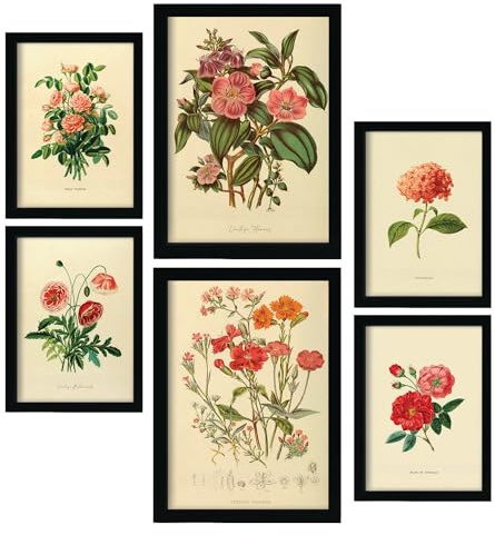 Nacnic 6er-Set Rosenrosa Blumen Poster. In Vintage -Drucke. Ästhetische Deko-Drucke für Ihr Wohnzimmer, Schlafzimmer, Zuhause Größen A4 und A3