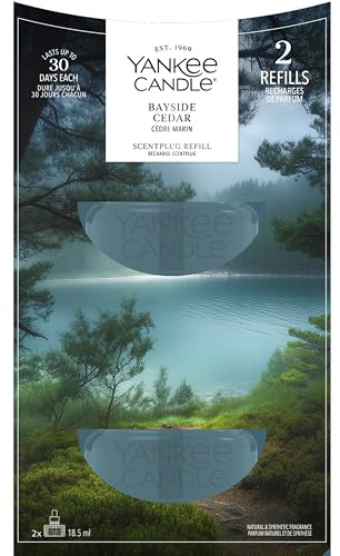 Yankee Candle Duftstecker Nachfüllung | Bayside Cedar | Für kleine bis mittlere Räume | Lang anhaltender Duft