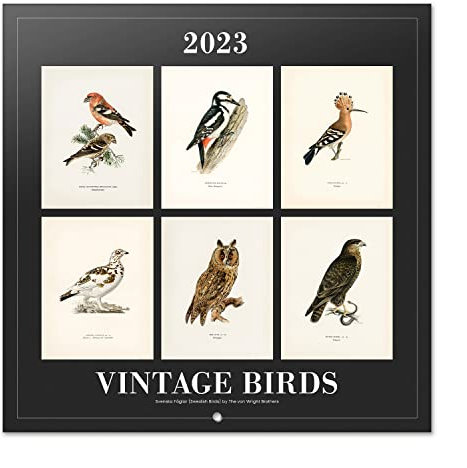 Grupo Erik Wandkalender 2023, Vintage Vögel Wandkalender, Kalender zum Aufhängen, Kalender 2023 Wandkalender, Familienkalender 2023, offizielle Lizenz, FSC zertifiziert