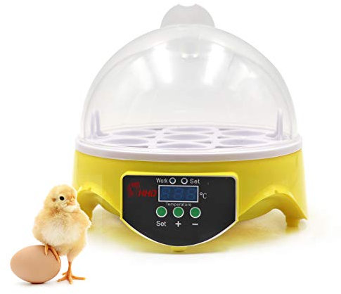 Incubatrice Per Uova,Incubatrice Manuale con Girauova, Controllo Intelligente Della Temperatura, Incubatrice con Display Digitale a LED, Adatta Per Polli, Anatre e Quaglie