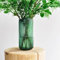 Vase en Verre Strié Cylindrique Transparent Vert pour Fleurs - Décoration Mariage, Bureau, Fête, Table, Centres de Table - Cadeau
