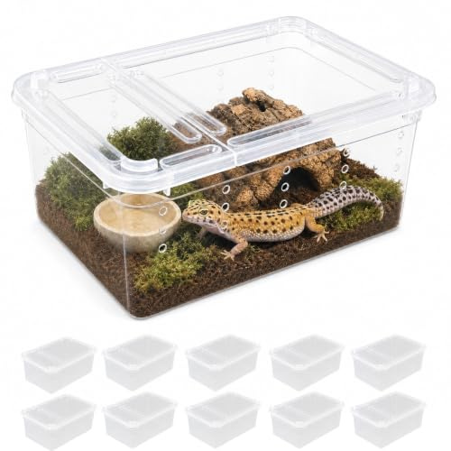 Reptilien-Futterbox,2 Stück,Transparent für Kleine Haustiere | Aus Sicherem PP-Material, Optimierte Belüftung, Doppelter Verschlussdeckel, für Spinnen, Skorpione und Jungschlangen