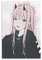 ASFAFG Anime Darling in The FranXX Zero Two HD Poster, 1 Poster, dekoratives Gemälde, Leinwand, Wandkunst, Wohnzimmer, Poster, Schlafzimmer, Gemälde, 40 x 60 cm