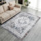 LAIBEI Teppich Wohnzimmer,Carpet waschbar rutschfest,Bunte Teppiche mit Muster für Wohnzimmer,Schlafzimmer,Bohemian Short Pile Rug,Vintage orientalischer Teppich(200 x 300 cm,hellblau)