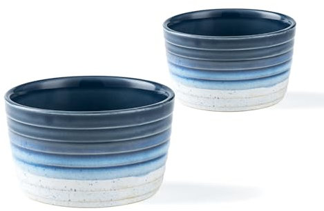 Henten Home Ramekin Set of 2 Mini Porcelain Bowls, 240ml Souffle Ramekins/Cups for Puddings, Brulees, Soufflés