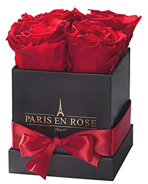 PARIS EN ROSE Rosenbox | mit Vier roten Infinity Rosen Größe XL | konservierte ewige Rose | eckige Schwarze Box mit Band | 3 Jahre haltbar