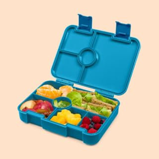 schmatzfatz Fiambrera para niños con compartimentos, sin bisfenol A, caja de almuerzo infantil, caja Bento perfecta para la escuela, la guardería y las excursiones (Petróleo)