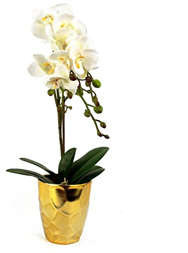 Leaf Design UK Realistic Artificial Orchid Flower Display in Pot,White Gold,54cm