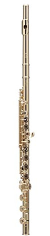 Flötensilber-Plattierung 17 Löcher C Flöten Key Woodwind Instrument Gepolstert Querflöte (Color : Gold)