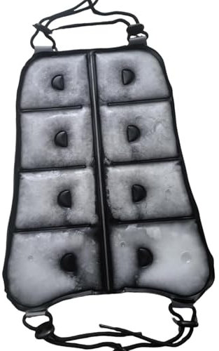 predolo Kühlkissen für den Rücken, Kühlweste, ergonomisches Kissen für Laufen, Picknick, Outdoor-Aktivitäten