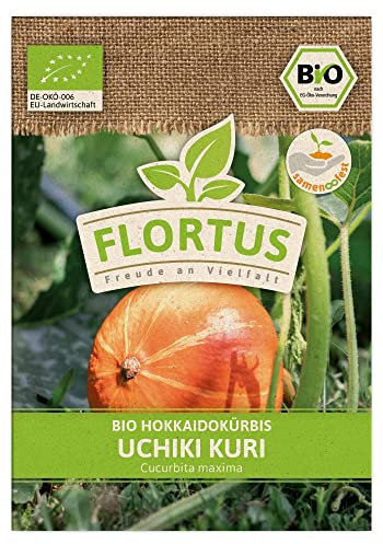 FLORTUS BIO Hokkaidokürbis Uchiki Kuri | Gemüsesamen | Kürbissamen | Hokkaidokürbissamen | Samen zur Anzucht für Garten, Balkon, Küche & Fensterbank