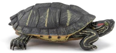 PAPO - Figurine Animale - Tortue de Floride, S