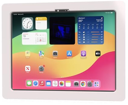 TABcare Enclosure VESA antifurto in acrilico per Apple iPad Pro 11 2024 (5a generazione) con kit di montaggio a parete gratuito e cavo USB C ad angolo di 90 gradi (iPad Pro 11 2024, bianco)