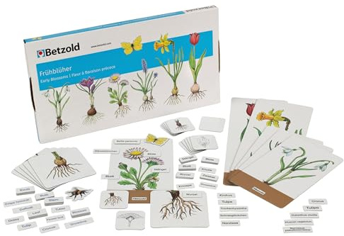 Betzold Frühblüher Magnet-Set | Pflanzen entdecken, mehrsprachige Karten