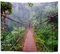 A.Monamour Wanddekor Wandbild Vorhang Wandteppiche Rote Hängebrücke Im Regenwald Wald Wald Natur Landschaft Bild Druck Tuch Stoff Wandbehang Tapisserie Wandkunst Dekore Tischdecke 102x153cm