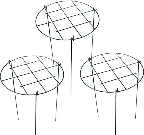 MSUIINT 3 x Metall-Pflanzenstützpfähle, runde Pflanzenstütze, rundes Gitter, Metallstützrahmen, Pflanzenstützrahmen für Rosen, 47,5 cm