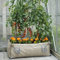 Marshalls 3 Pack Wooden Raised Garden Bed
